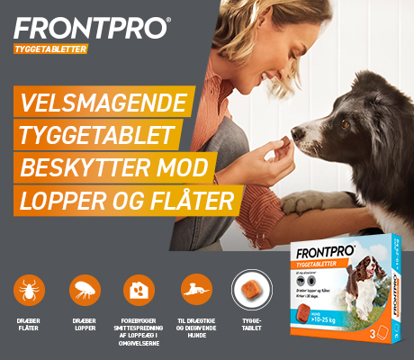 https://www.webapoteket.dk/artikler/lopper-og-flaater-saadan-undgaar-du-dem/