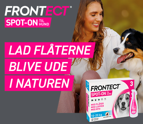 https://www.webapoteket.dk/artikler/lopper-og-flaater-saadan-undgaar-du-dem/