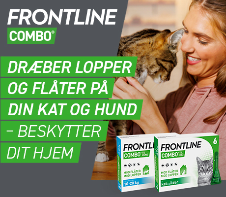 https://www.webapoteket.dk/artikler/lopper-og-flaater-saadan-undgaar-du-dem/