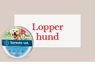 Lopper hund