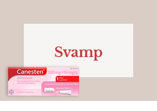 Svamp