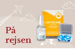 På rejsen