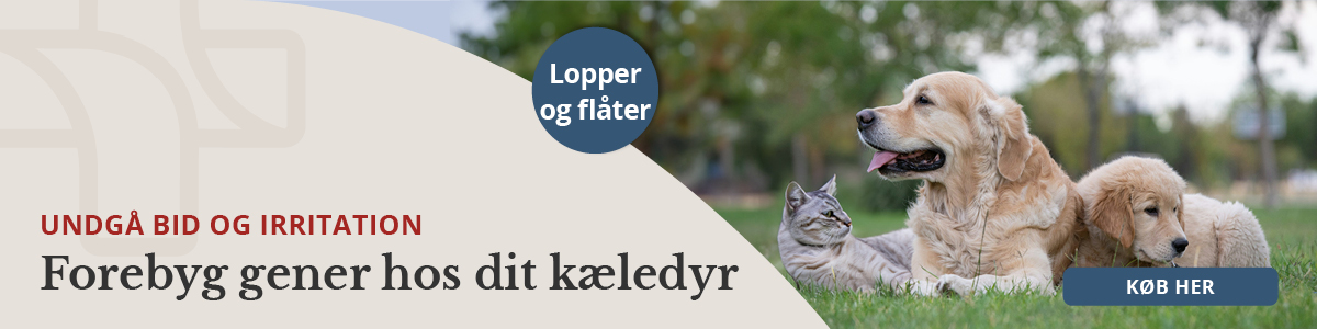 https://www.webapoteket.dk/dyr/flaat-og-loppemidler?utm_source=site&utm_medium=topbanner&utm_campaign=2025_22&utm_id=2025_22