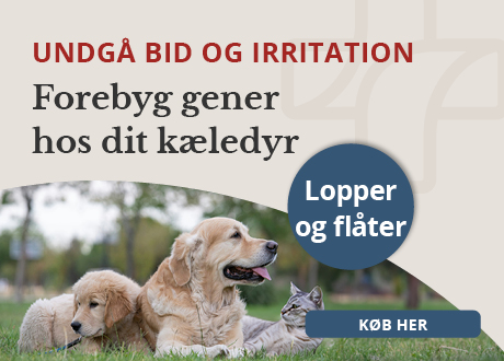 https://www.webapoteket.dk/dyr/flaat-og-loppemidler?utm_source=site&utm_medium=topbanner&utm_campaign=2025_22&utm_id=2025_22