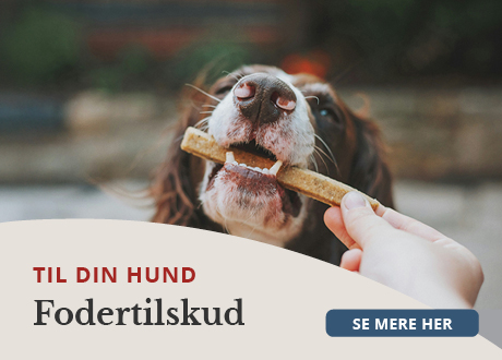 https://www.webapoteket.dk/guides/pleje-til-dyr/hunde/fodertilskud/