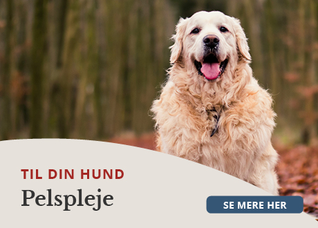 https://www.webapoteket.dk/guides/pleje-til-dyr/hunde/pelspleje/