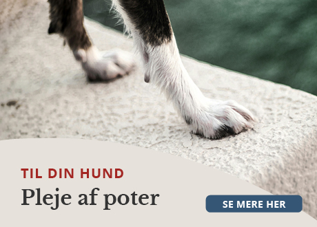 https://www.webapoteket.dk/dyr/potepleje