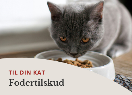 https://www.webapoteket.dk/dyr/fodertilskud