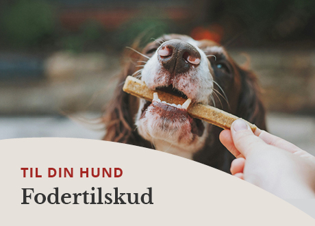 https://www.webapoteket.dk/dyr/beroligende-til-dyr