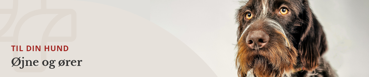 https://www.webapoteket.dk/dyr/oejenpleje-til-dyr