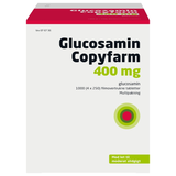 Glucosamin Copyfarm