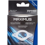Maximus Penisring Medium