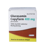 Glucosamin Copyfarm