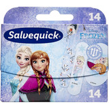 Salvequick Frozen