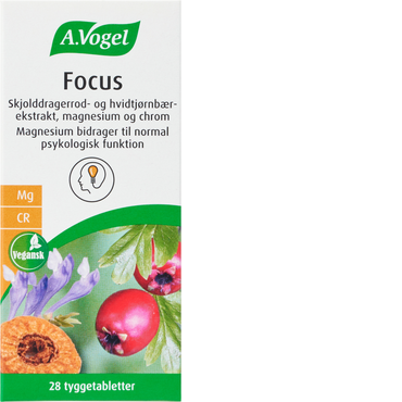 A. Vogel focus