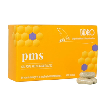 Bidro PMS