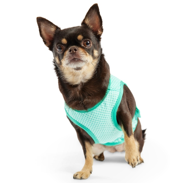 GF Pet Ice vest