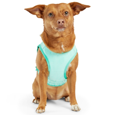 GF Pet Ice vest