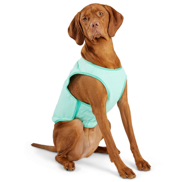 GF Pet Ice vest