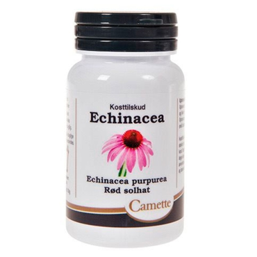 Camette echinacea