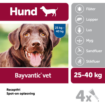 smuk Transformer lyse Bayvantic Vet 25-40 kg 4 x 4,0 ml